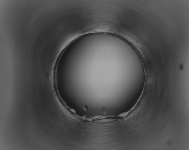 X0000097951423200804011624