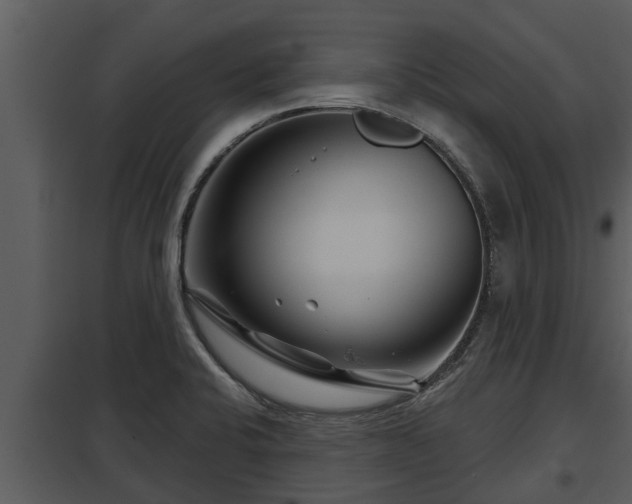 X0000097951424200804011624
