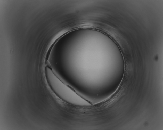 X0000097951426200804011624