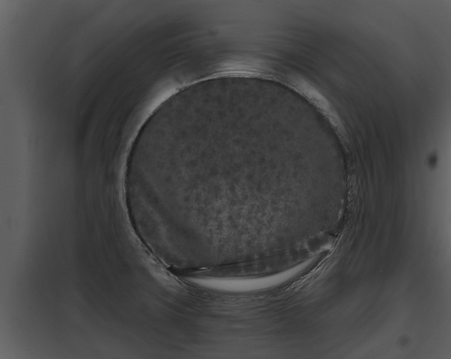 X0000097951427200804011624