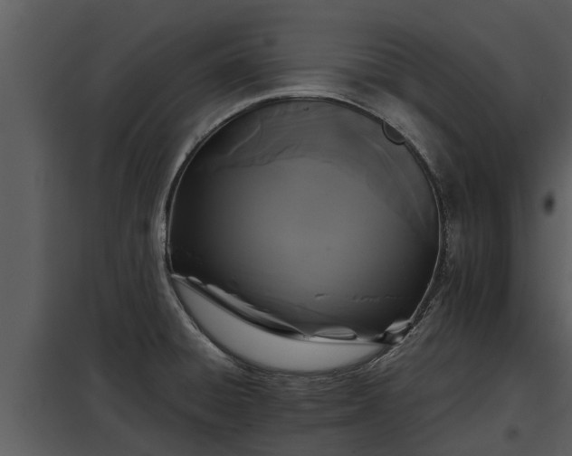 X0000097951428200804011624