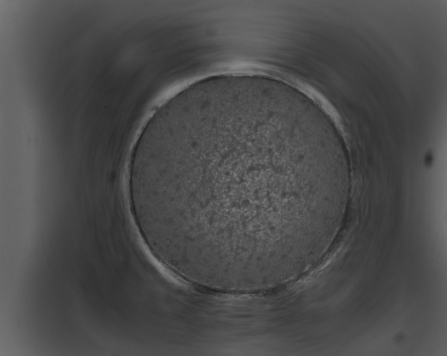 X0000097951429200804011624