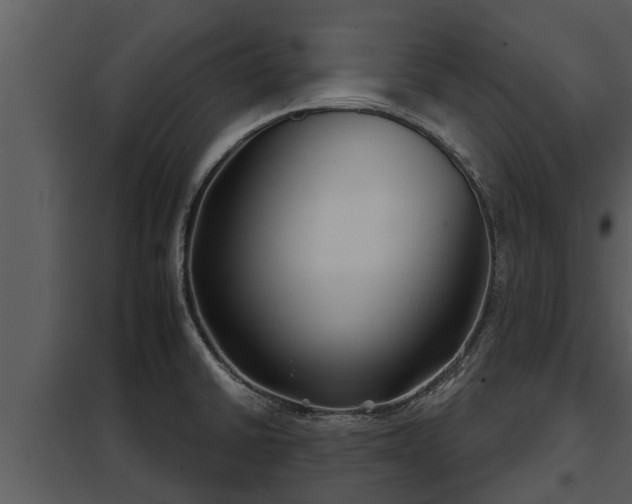 X0000097951430200804011624