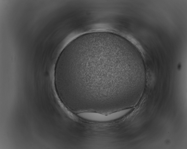 X0000097951431200804011624