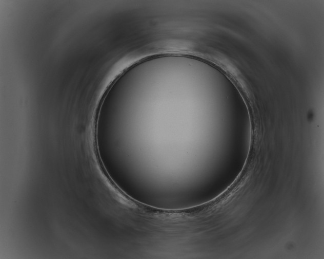 X0000097951432200804011624