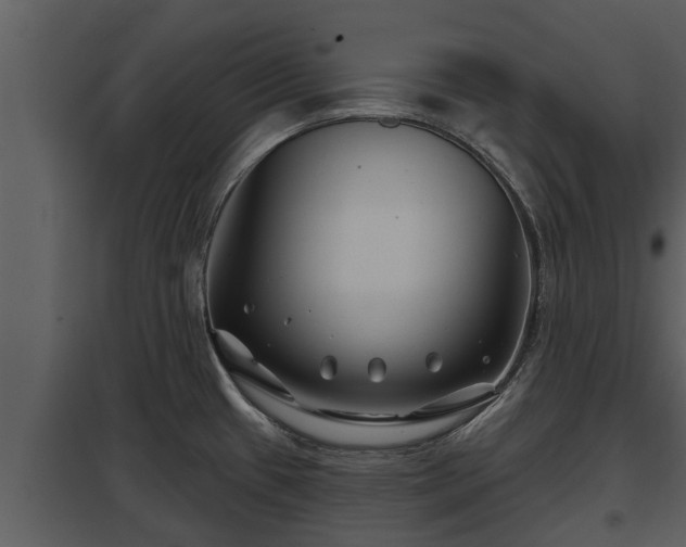 X0000097951433200804011624