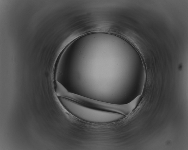 X0000097951434200804011624