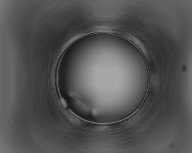X0000097951435200804011624