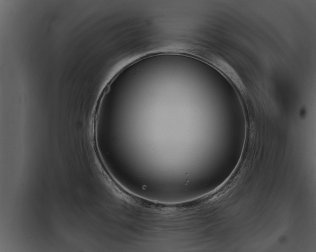 X0000097951436200804011624