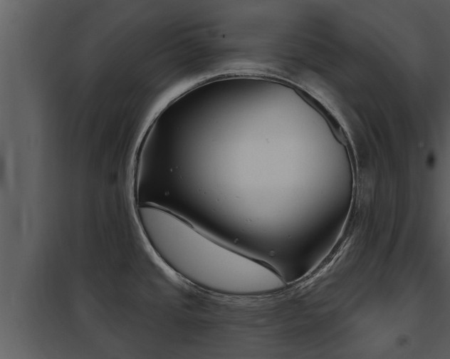 X0000097951437200804011624