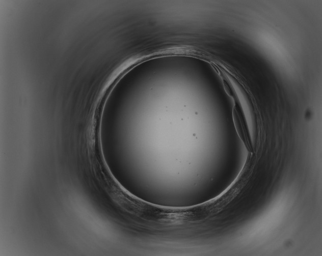 X0000097951438200804011624