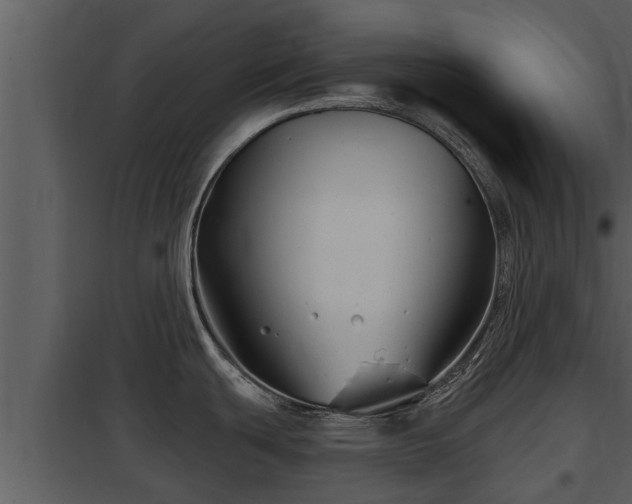 X0000097951439200804011624