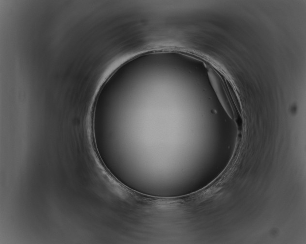 X0000097951440200804011624