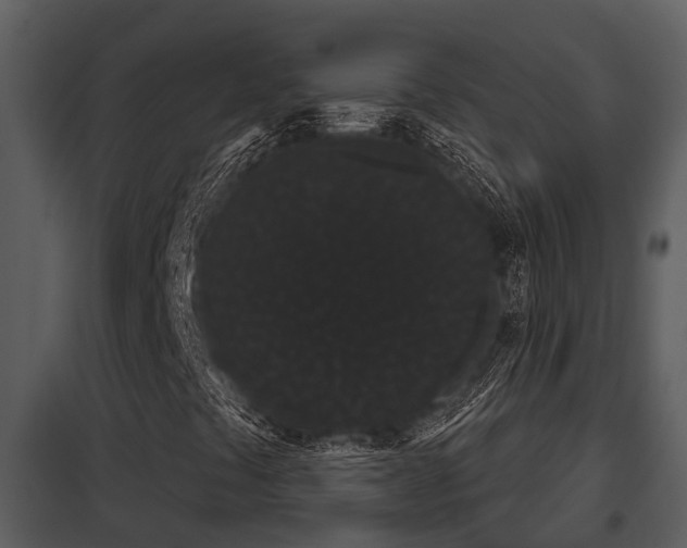 X0000097951441200804011623