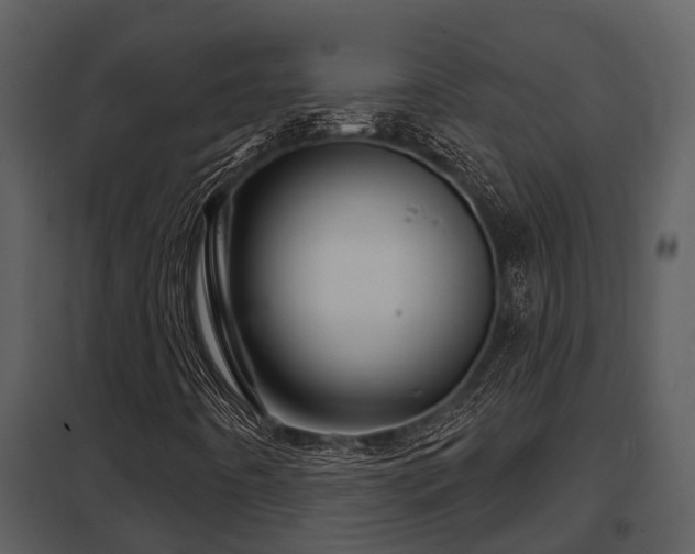 X0000097951442200804011623
