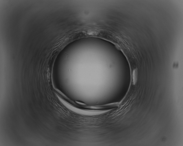 X0000097951443200804011623