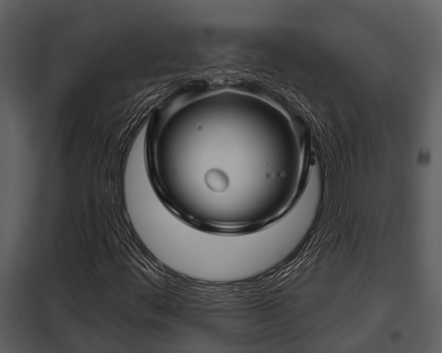 X0000097951444200804011623