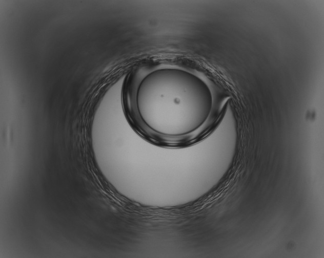X0000097951445200804011623