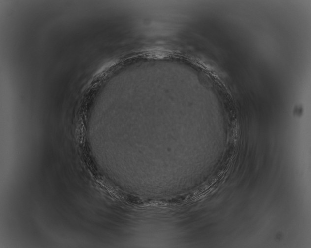 X0000097951446200804011623