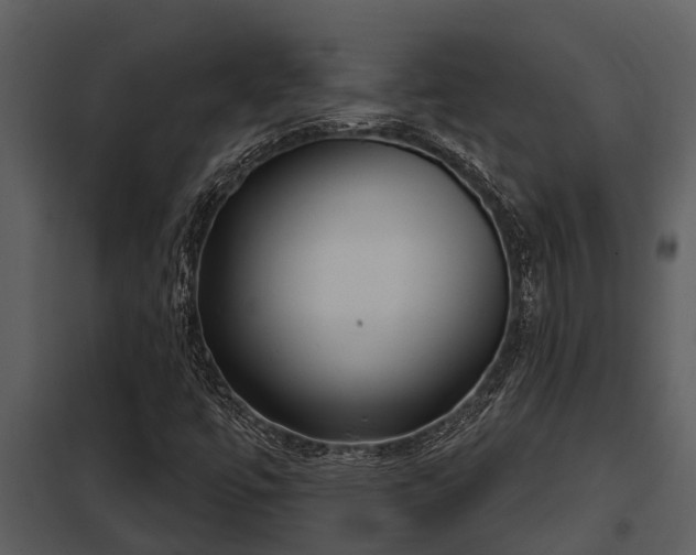 X0000097951447200804011623
