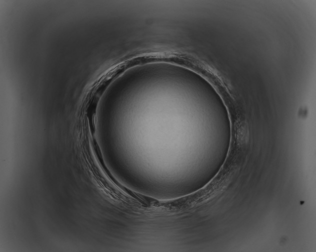 X0000097951448200804011623