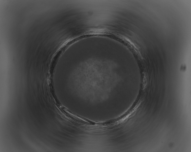 X0000097951449200804011623