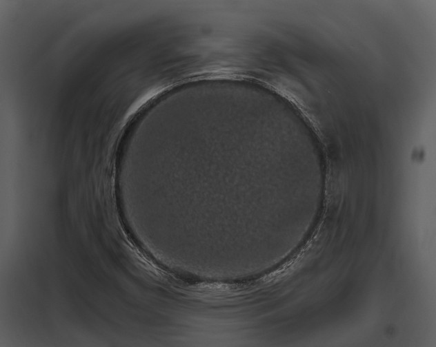 X0000097951450200804011623