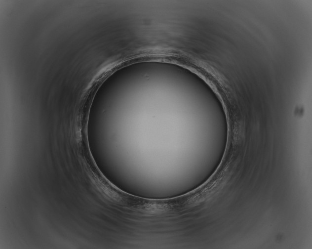 X0000097951451200804011623