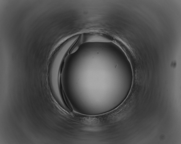 X0000097951452200804011623