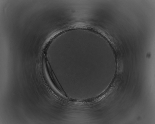 X0000097951453200804011623