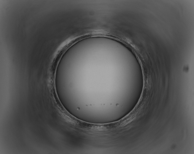X0000097951454200804011623
