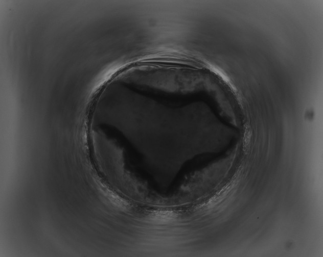 X0000097951455200804011623