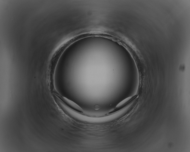 X0000097951456200804011623