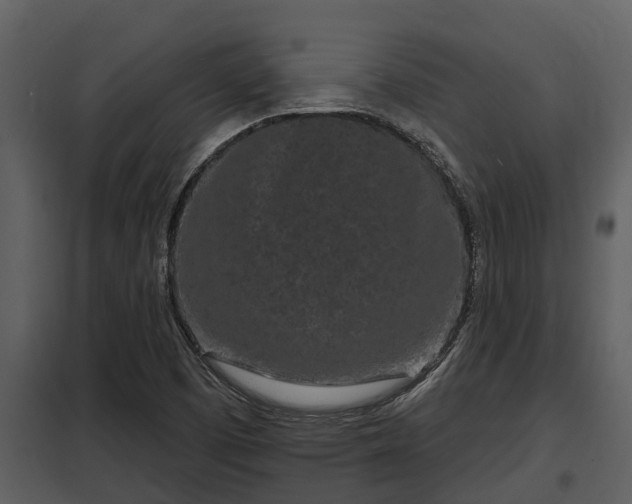 X0000097951457200804011623