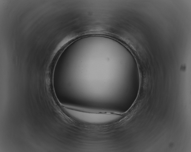 X0000097951458200804011623