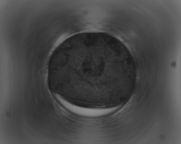 X0000097951459200804011623