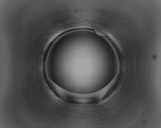 X0000097951460200804011623