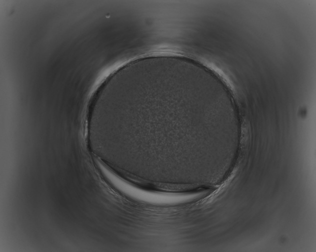 X0000097951461200804011623
