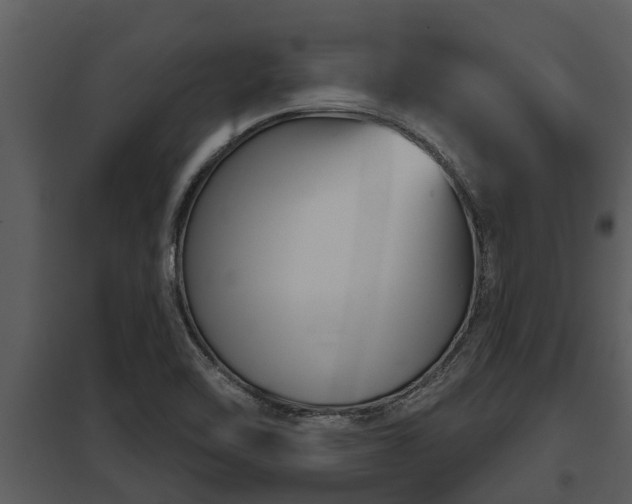 X0000097951462200804011623