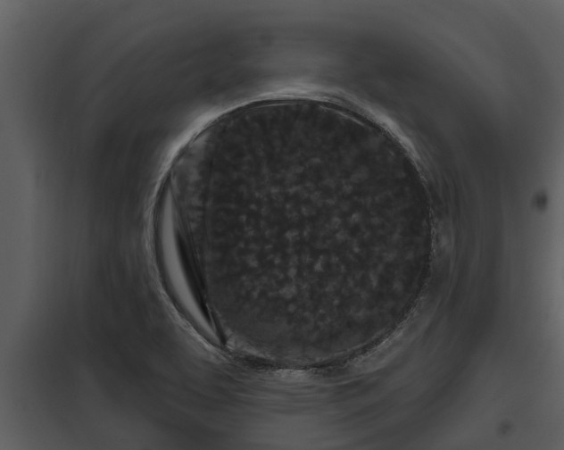 X0000097951463200804011623