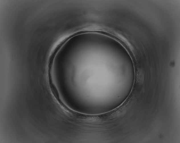 X0000097951464200804011623
