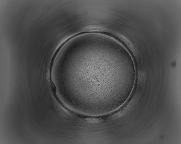 X0000097951465200804011623