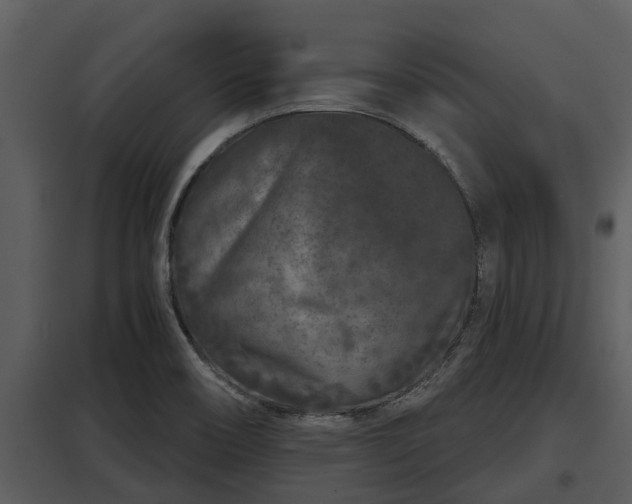X0000097951466200804011623