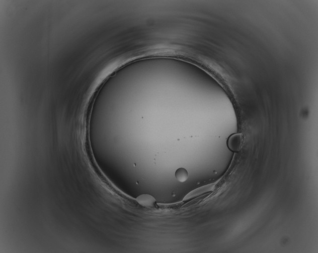 X0000097951467200804011623