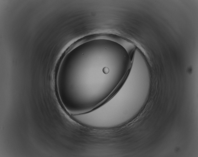 X0000097951468200804011623