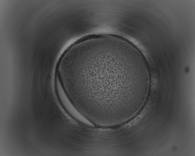 X0000097951469200804011623