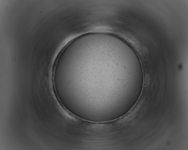X0000097951470200804011623