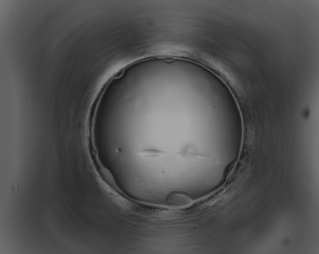 X0000097951471200804011623