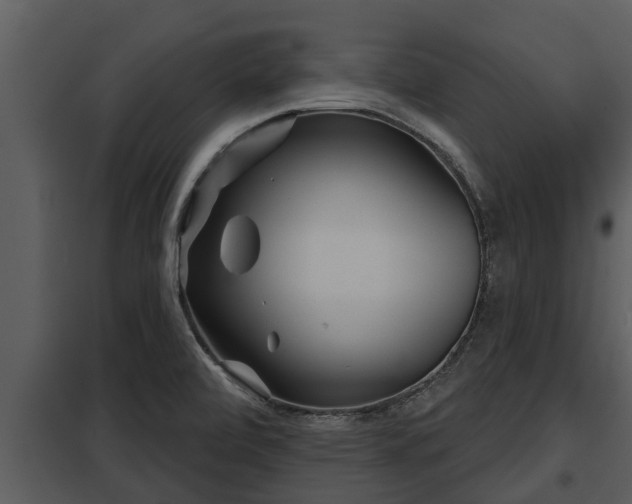X0000097951472200804011623