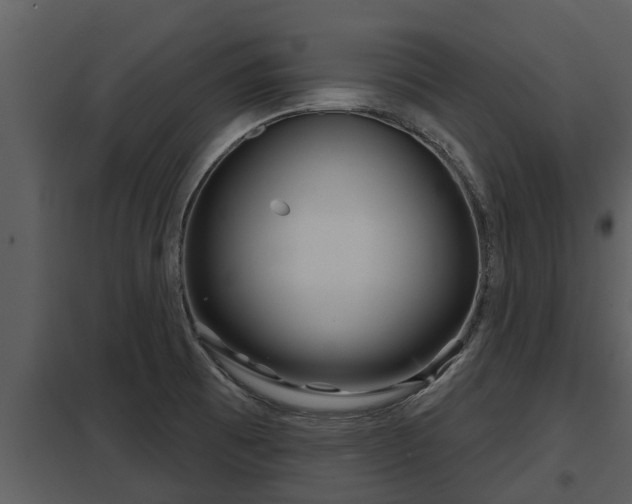 X0000097951473200804011623